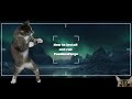 Installation and Running of AnimForgePatcher