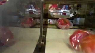 ORANGE X07 - Horizontal flow pack machine for loose peppers