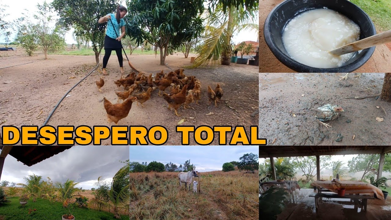 NÃO CONSEGUI CONTINUAR GRAVANDO/ DESESPER0 PRA CONSEGUIR SALVAR OS ANIMAIS DA TEMPESTADE 😔