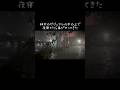 神木のガジュマルの木の上で夜寝てたら嵐がやってきた inチェンマイ・タイ　#shortclip #naturelovers #treehouse