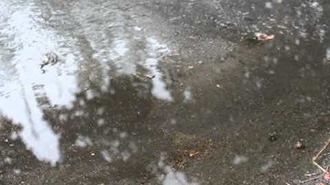 Puddle Reflections with Circular Polarizing Filter (CPL)