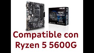 👍🏻 Ryzen 5600G con placa Asus B450M-A - YouTube