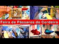 Feira de pssaros e gaiolas do cordeiro 2 passaros criarpassaros feiralivre