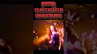 Pantera Slaughtered Heavy Performance Live Austin Texas 1994 #shorts #trending #viral #music #metal
