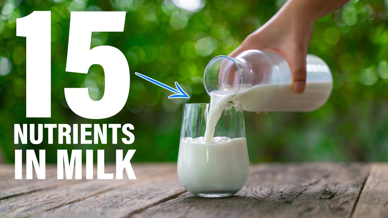 The Top 15 Nutrients in Milk | What They Mean for Your Health