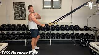 TRX Reverse Flys - Anleitung durch Personal Trainer #hintereschulter