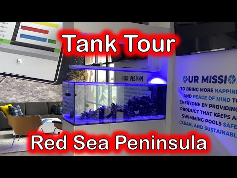 Red Sea Reefer