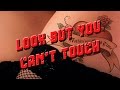 Poison - Look but you can't touch '88