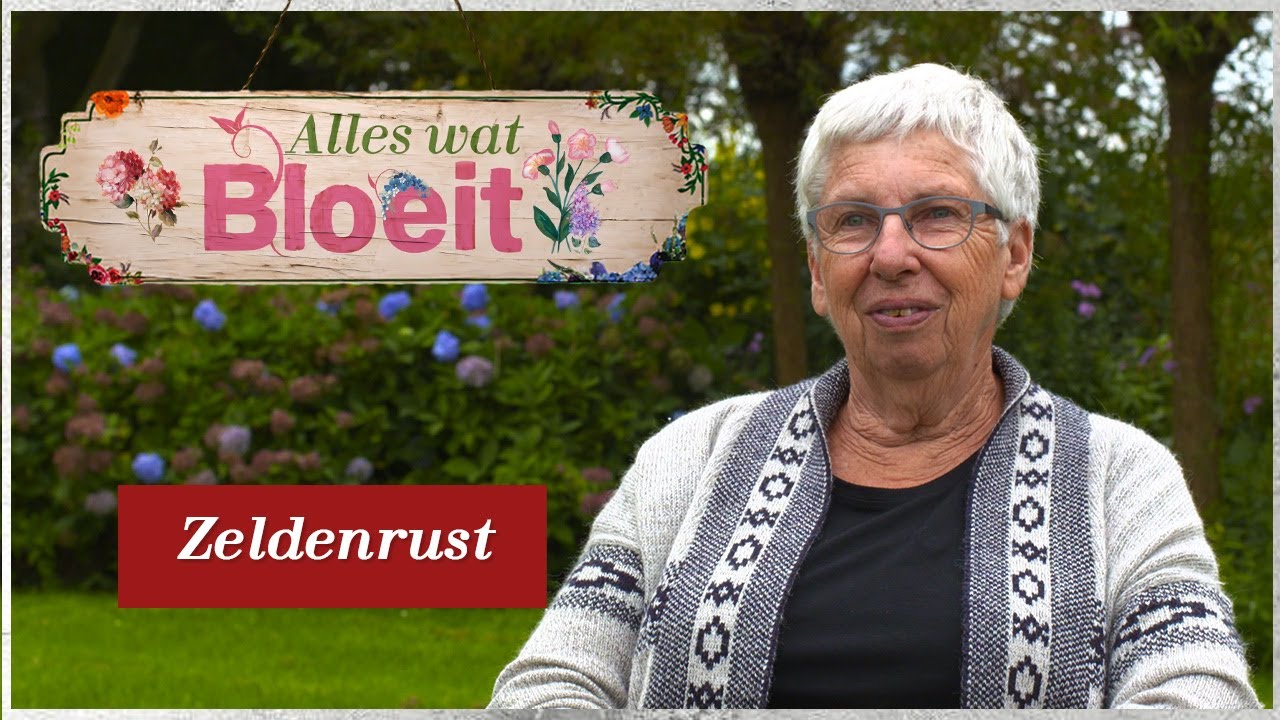 Zeldenrust | Alles Wat Bloeit