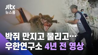 박쥐 만지고 물리고…우한연구소 직원 '4년 전 영상' / JTBC 뉴스룸