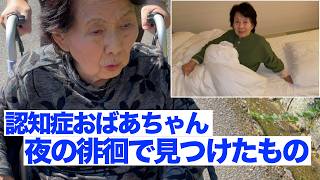 70歳になったばあちゃん失礼致します。様 リクエスト 4点 まとめ商品 おばあちゃん、今日も元気です1：はじめてのネット日記は楽しい発見