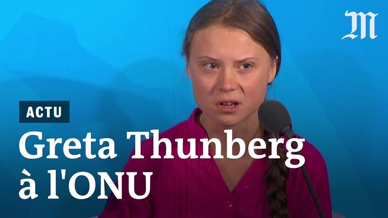 „Beschämend für Europa“ - Hofreiter rechnet mit Greta Thunberg ab