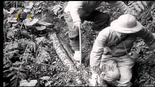 國防線上：榮光垂青史　榮民節活動專題報導