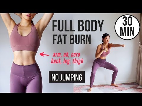 30 min Full Body Fat Burn HIIT (NO JUMPING) - Ab, Core, Arm, Back, Leg, Thigh \u0026 Cardio ~ Emi