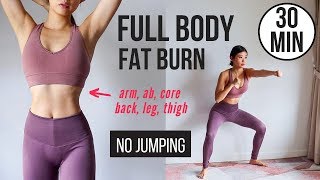 30 min Full Body Fat Burn HIIT (NO JUMPING) - Ab, Core, Arm, Back, Leg, Thigh & Cardio ~ Emi image