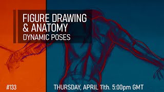 Figure Drawing & Anatomy - Dynamic Poses #133 Figure Drawing & Anatomy - Dynamic Poses #133