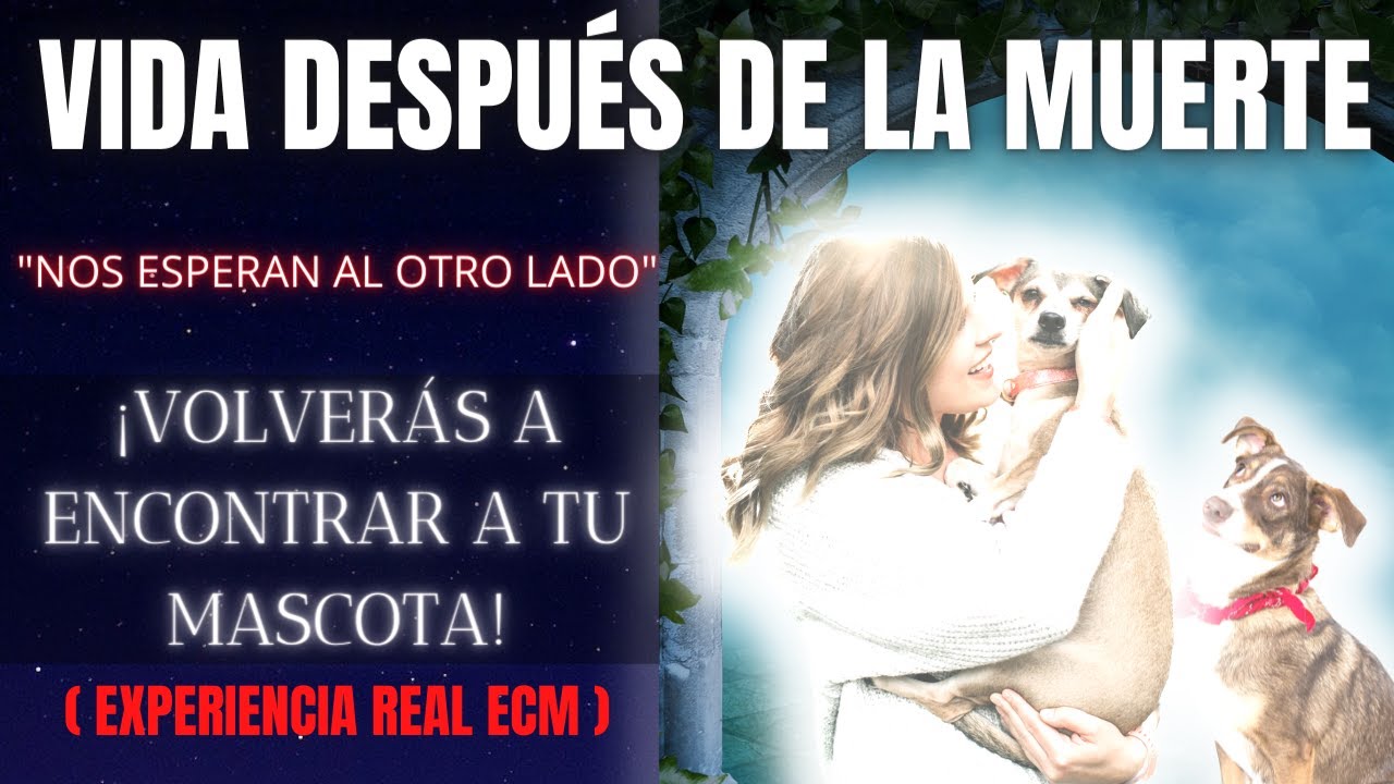 VIDA DESPUÉS DE LA MUERTE -⭐ 