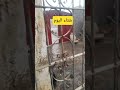 شتاء اليوم تطوان فلافيراي