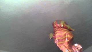 Capture 20111010