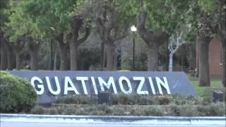 CANCIÓN A GUATI (Himno/Canción Homenaje a Guatimozín) - TIKY LEPSON (Music Artist)