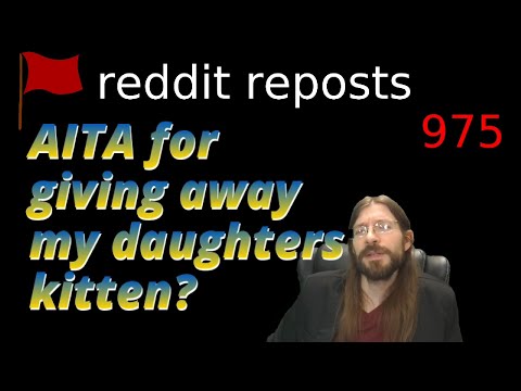 AITA for giving away my daughters kitten? | 3 Stories 1 Update | 975