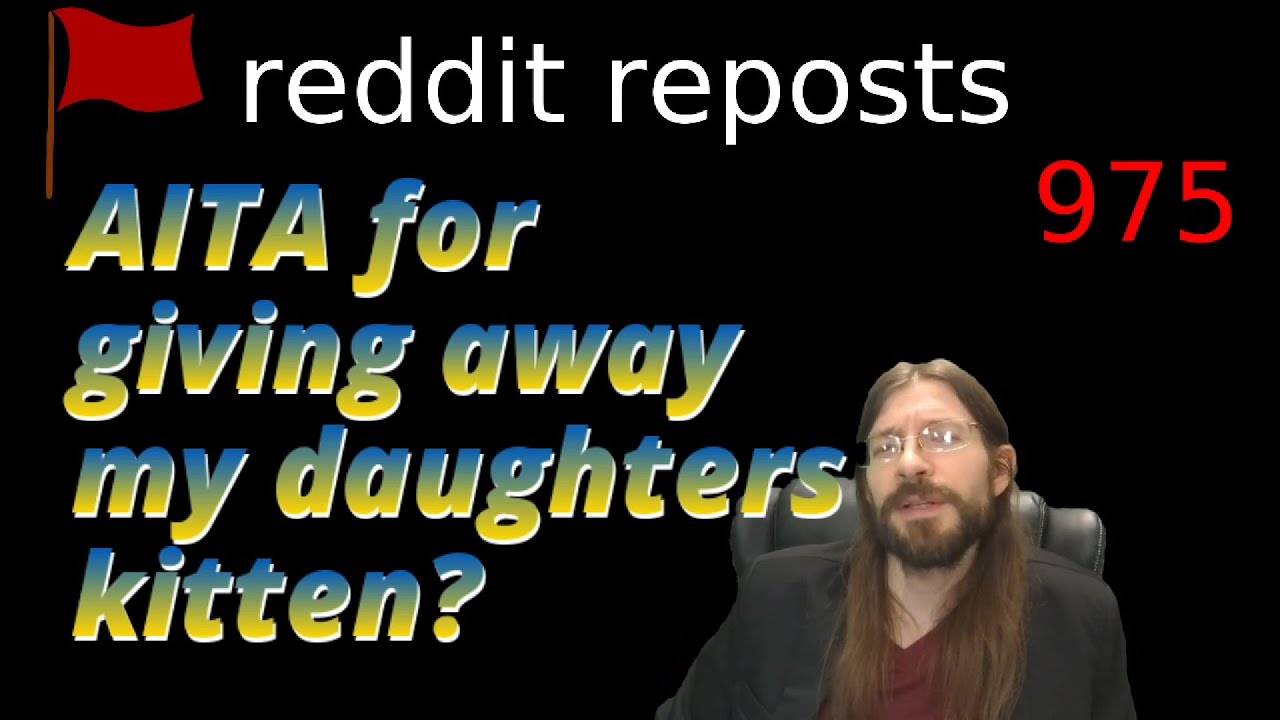 AITA for giving away my daughters kitten? 3 Stories 1 Update 975