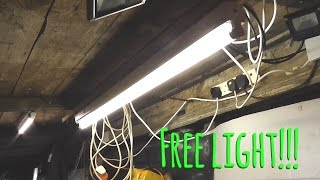 Free Fluorescent Fit-up Fun...