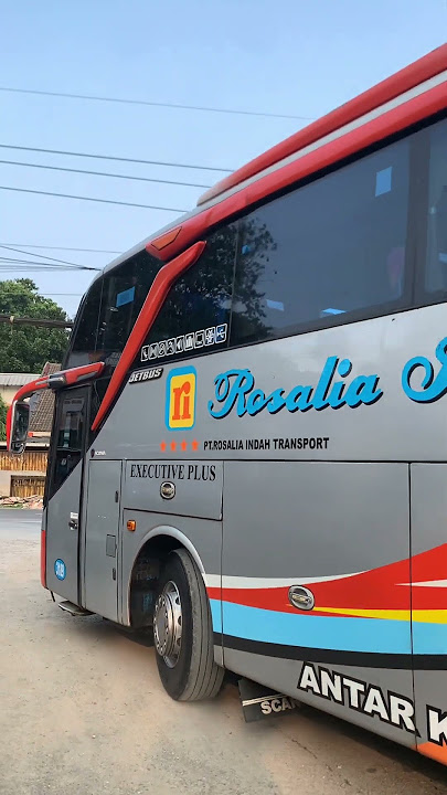 Rosalia Indah Take Off #bus #rosaliaindah #pramugari #busmania #shorts #fyp