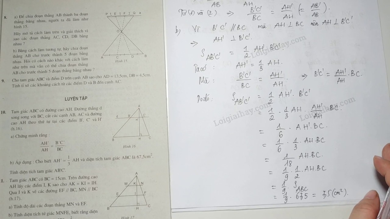 GIẢI SBT - Bài 5 + 6: (Phần 1) LŨY THỪA CỦA MỘT SỐ HỮU TỈ || TOÁN 7 | ĐẠI SỐ 1