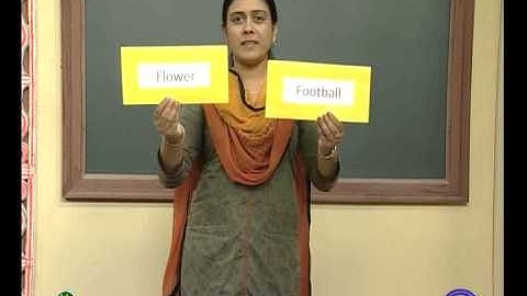 VCP-Std7-Sem1-Unit1-Reading2-Epi2-1