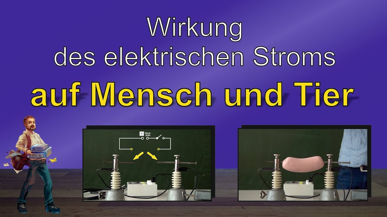 Wirkung Des Elektrischen Stroms Wirkung des elektrischen Stroms auf Mensch und Tier - Experimente mit