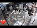 FRENCHIE Puppy Area! | Crate & Playpen