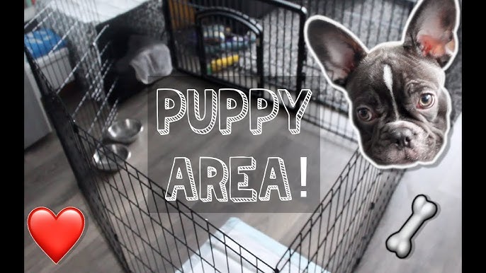 How to Set Up a Long–Term Puppy Confinement Area