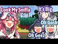 Everyone Reaction On Raora's Mamma New Pet Sniffa Sniffa【Hololive EN】