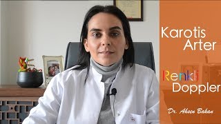 Karotis Arter (Şah Damarı) İnceleme // Felç Riski ! - DR. AHSEN BAKAN screenshot 5