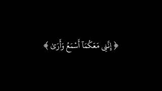 ( قال لا تخافا انني معكما اسمع وارى ) كروما قرآن شاشة سوداء ، القارئ شريف مصطفى .