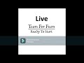 Tears For Fears - Ready To Start (Live) 2014 - Thackerville OK (Audio Only)