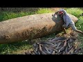 Unbelievable this Fishing 2020 - Find & Catfish Underground & Under Scrap Boat in Dry Season