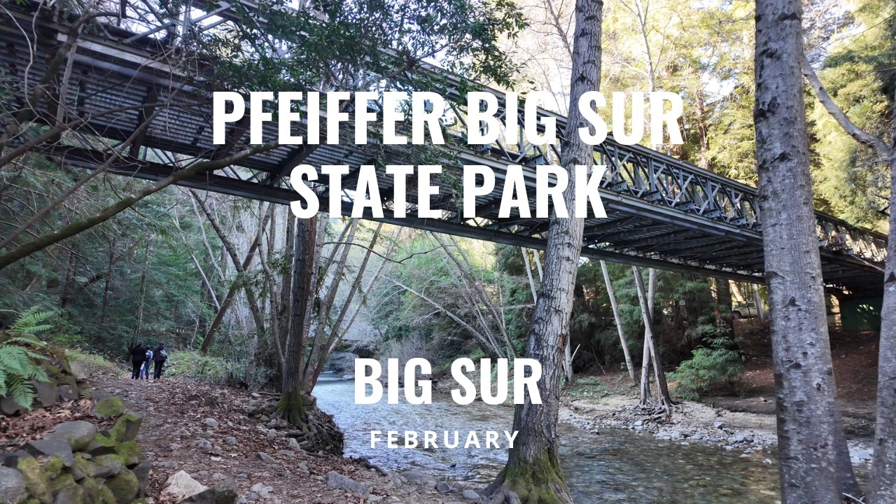 Pfeiffer Big Sur State Park | The River Path, Majestic Redwoods, and the Buzzard’s Roost Trail View