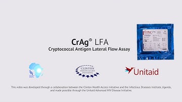 Procedure for IMMY CrAg LFA Test HD