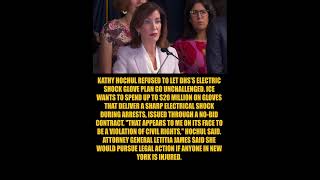 Hochul Slams ICE's $20 Million Plan for Electric Shock Gloves as Civil Rights Violation Governor...
