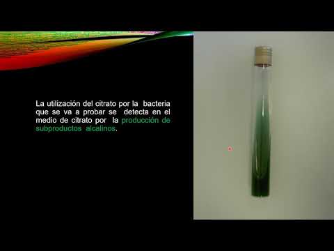 Vídeo: Descubrimiento De Reguladores Fisiológicos Y Relacionados Con El Cáncer Del Procesamiento 3 'UTR Con KAPAC