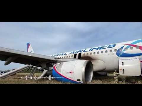 Переговоры пилотов по время аварийной посадки на поле самолета Airbus A320 с авиадиспетчерами