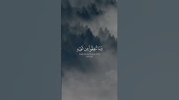 #ياسر_الدوسري #تلاوة_خاشعة #القران_الكريم #القران #quran