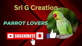 parrot lovers@srigcreation8547