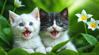 Wild Babies 4K (60FPS) - Soothing Music in Nature Scenes, Cute Animals Video for Relax by Little Pi Melody 759 views 1 month ago 3 hours, 33 minutes