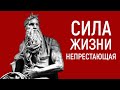 СИЛА ЖИЗНИ НЕПРЕСТАЮЩАЯ |  брат Роман