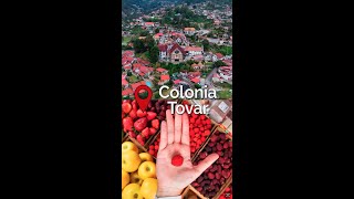 Visitando un pueblo de origen alemán - Colonia Tovar 🇩🇪🇻🇪