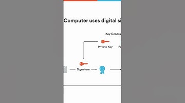 Which cryptographic mechanisms are utilized for authentication on the Internet Computer?#ICP#TCP