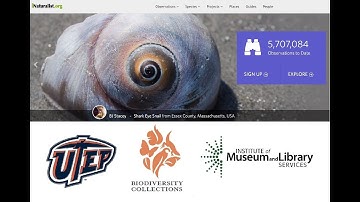 iNaturalist search tutorial